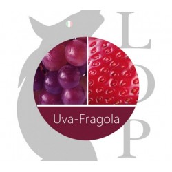 UVA FRAGOLA - LOP AROMA